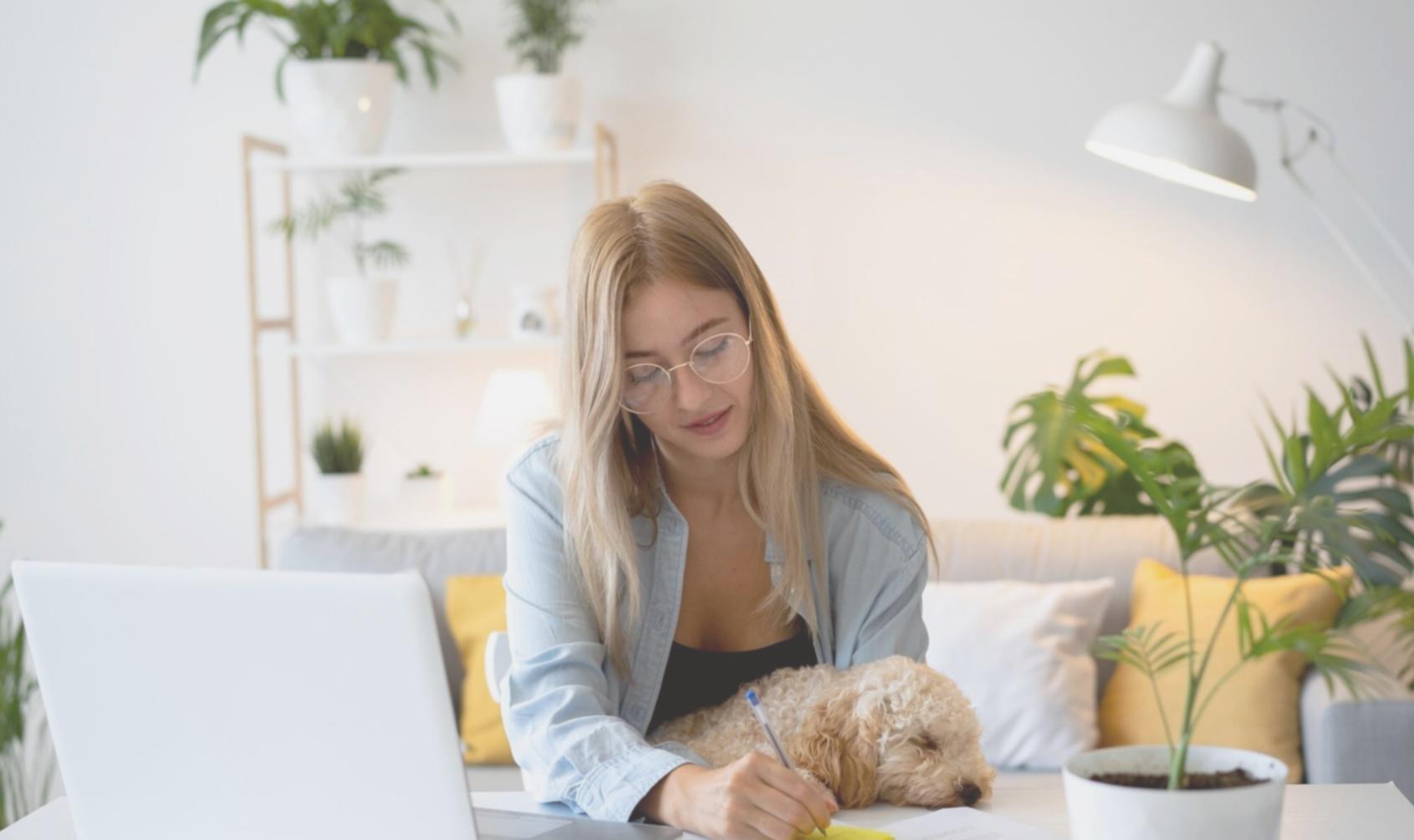 Tim profesional sedang menganalisis data finansial